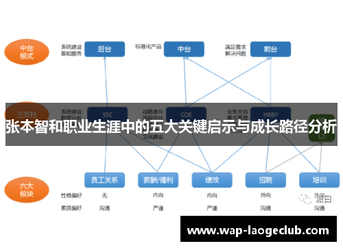 张本智和职业生涯中的五大关键启示与成长路径分析