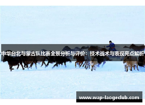 中华台北与蒙古队比赛全景分析与评价：技术战术与表现亮点解析