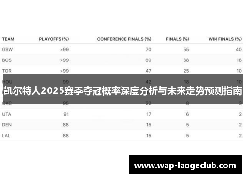 凯尔特人2025赛季夺冠概率深度分析与未来走势预测指南