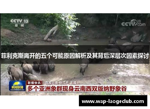 菲利克斯离开的五个可能原因解析及其背后深层次因素探讨 菲利克斯离开的五个可能原因解析及其背后深层次因素探讨