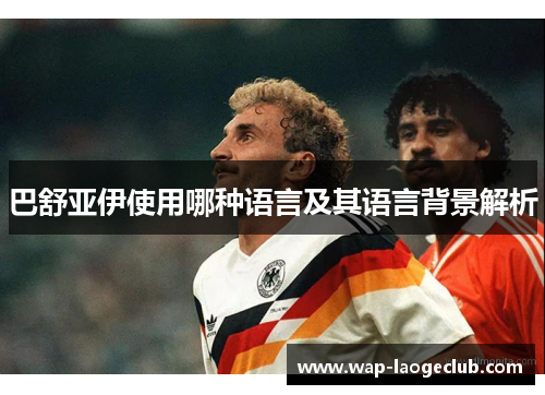 巴舒亚伊使用哪种语言及其语言背景解析 巴舒亚伊使用哪种语言及其语言背景解析