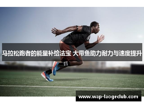 马拉松跑者的能量补给法宝 大带鱼助力耐力与速度提升