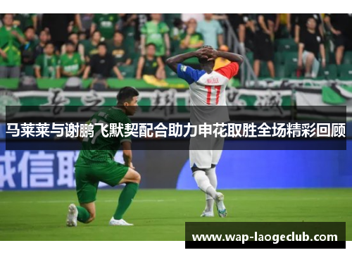 马莱莱与谢鹏飞默契配合助力申花取胜全场精彩回顾