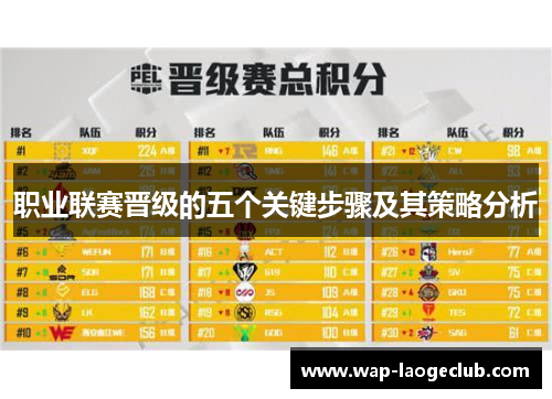 职业联赛晋级的五个关键步骤及其策略分析 职业联赛晋级的五个关键步骤及其策略分析